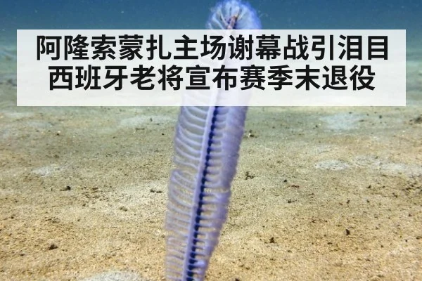 阿隆索蒙扎主场谢幕战引泪目西班牙老将宣布赛季末退役